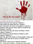 who is the terrorist?