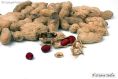 Food and drink Snacks groundnuts1