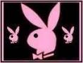 3 pink playboy bunny
