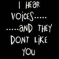 Hear voices . .they dont like you