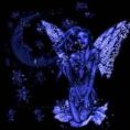 Blu fairy