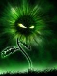 Evil Sunflower