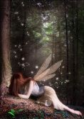 The Faerie Who Was Kissed