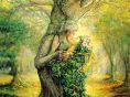 The Dryad & The Tree Spirit