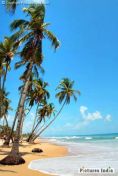 Exotic Colva Beach in Goa