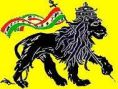 LION of Juda