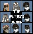 The Whiskers Bunch