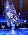 Blue tiger