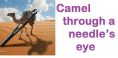 A camel through a needle,s eye