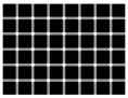 can you see the black dots?