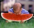 boy_watermelon