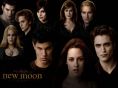 twilight new moon poster(whole cast)
