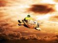 turtle in air