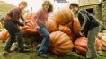 Harry,Ron and Hermione at Hagrids pumpkin patch