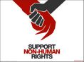 Support non-human rights