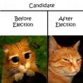 Candidate before and after election