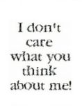 I dont care what you think about me
