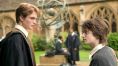 Harry Potter and Cedric Diggory