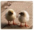 Pledge to go veg