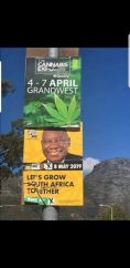 lets grow south africa together