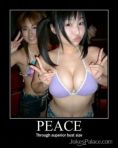 Supporting Peace Picture