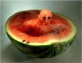 water melon head