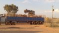double road train full of CAMELS!!!!!