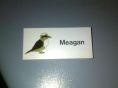 My name tag for work! im a superstar
