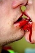 blood kiss