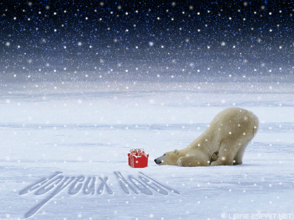 Joyeux Noel Polar Bear