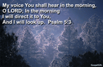 Psalms 5:3
