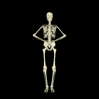 Skeleton Dances
