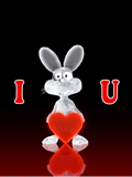 i love you bunny