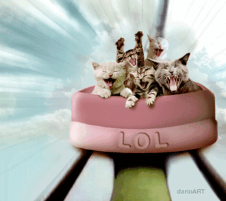 Kitty Rollercoaster