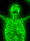 Multi colour flash skeleton