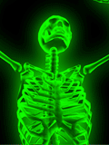 Multi skeleton