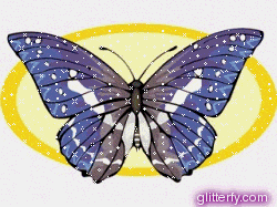 purple b*tterfly