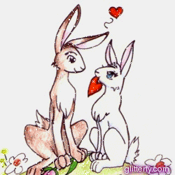 love rabbits