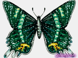 green b*tterfly