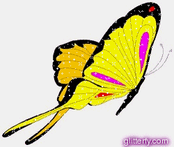 yellow b*tterfly