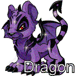 Purple Dragon Cat