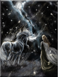 Fairy Unicorn Night