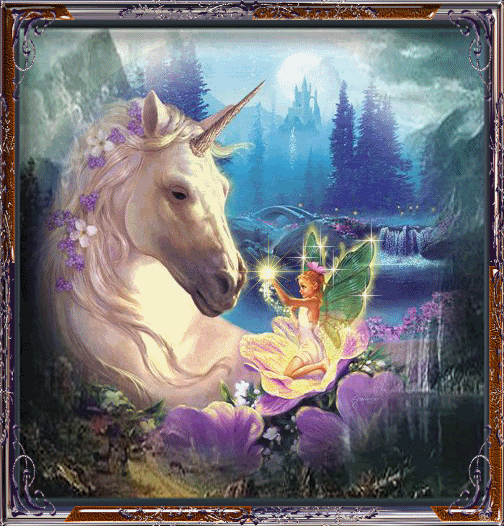Unicorn & Fairy