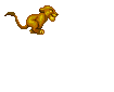 lion cub2