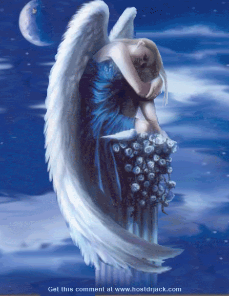 swt blue angel sit slp in th sky wow!