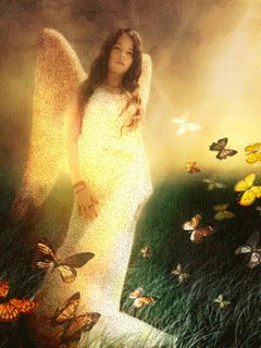 bful golden wite angel inbetwen b*tterflies