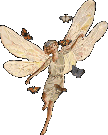 Fairy b*tterflies