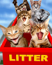 Kitty Litter Rollercoaster