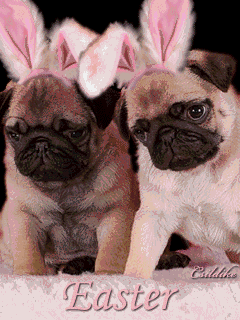 Easter dogs