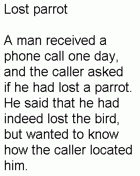 Lost parrot (part 1)